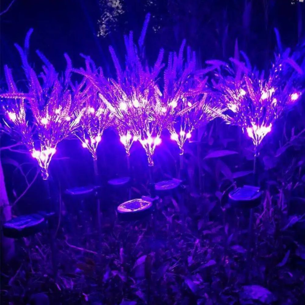 Фиолетовый светодиодный солнеч – обзор и цена Outdoor Lighting Unit